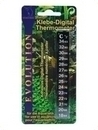 smf-aquaristik, Klebe-Digital-Thermometer