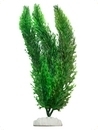 smf-aquaristik, Kunststoffpflanze "Myriophyllum aquaticum" ca. 30 cm