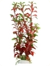 smf-aquaristik, Kunststoffpflanze "Ludwigia glandulosa" ca. 30 cm